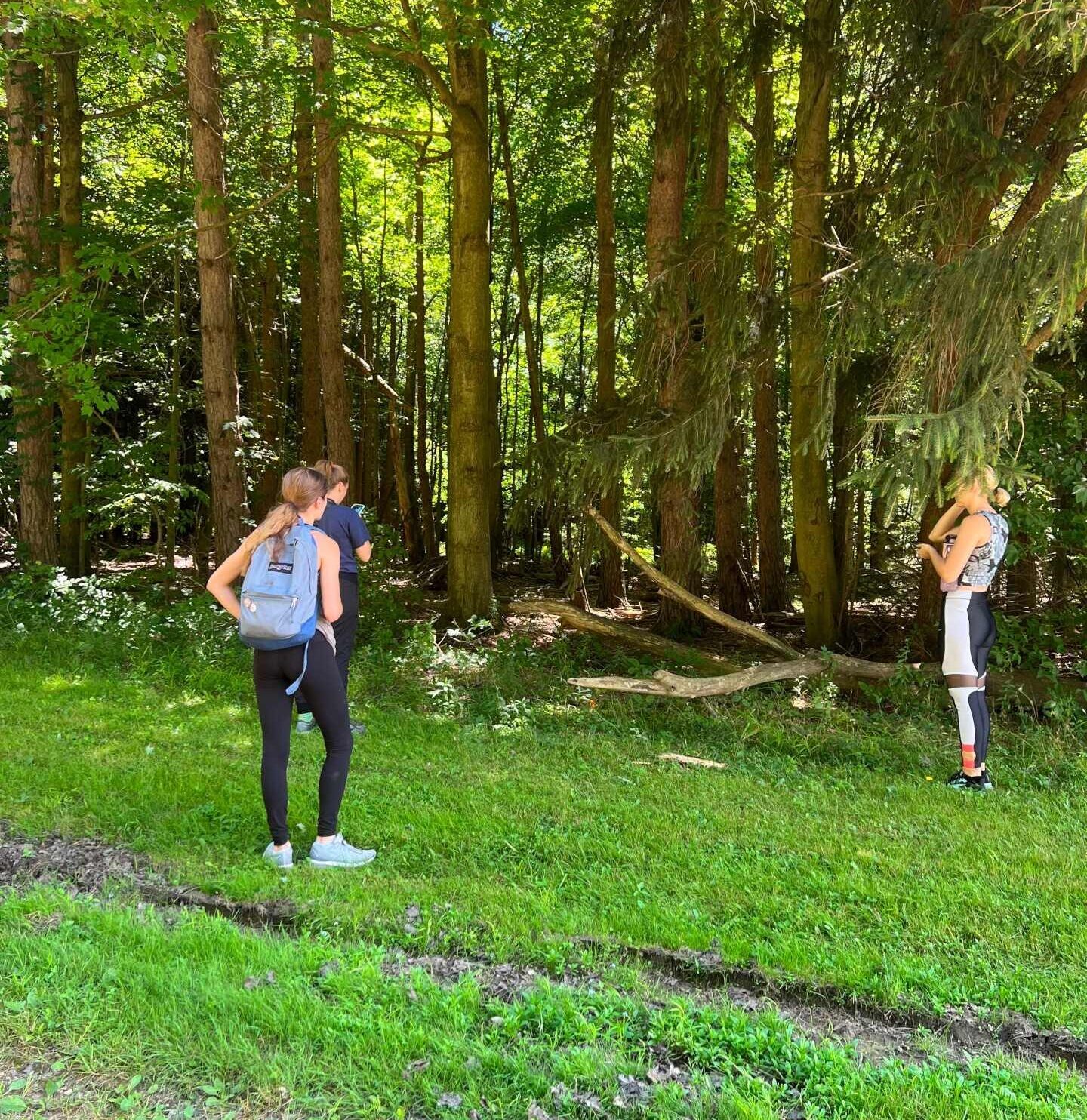 Students in a wooded area.
