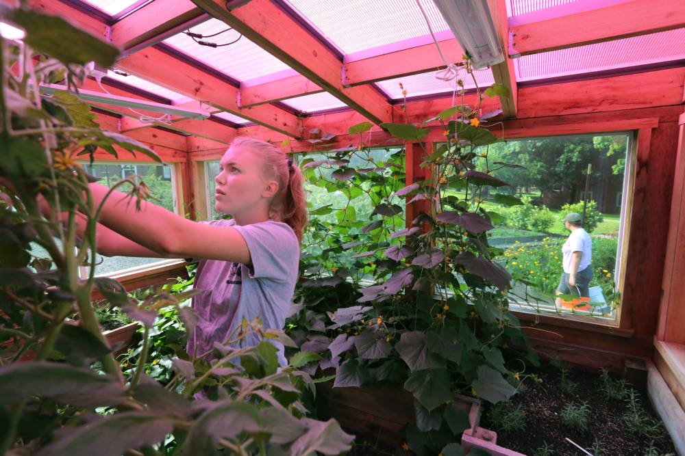 Student working in a greenhouse