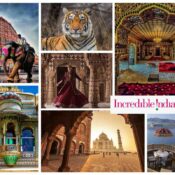 Collage of beautiful images from India and the logo for the company Incredible India