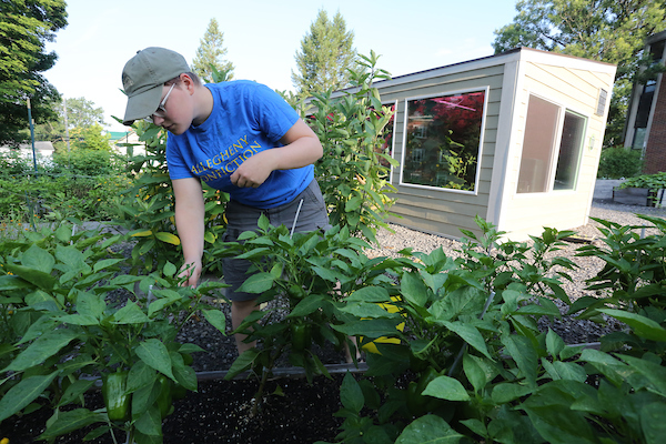 a student in a garden