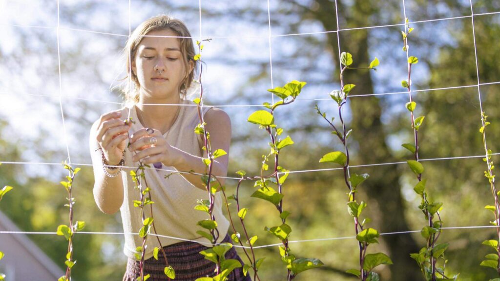 student working with plant life