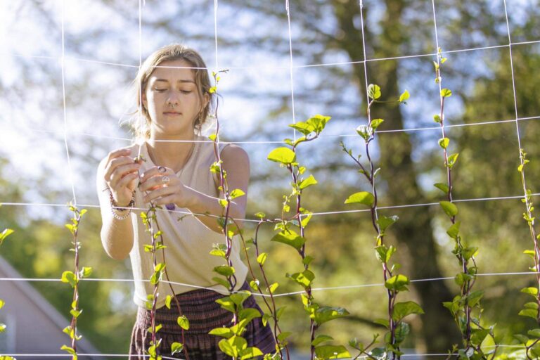 student working with plant life