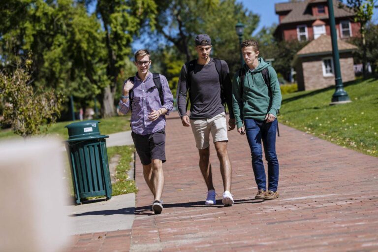 a group of students walking on a brick path