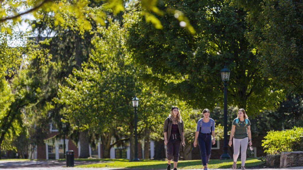 students walking in quad