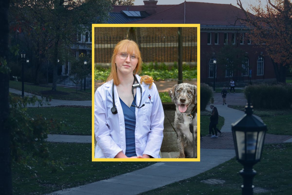 Allegheny Graduate Studies Veterinary Medicine At The University Of