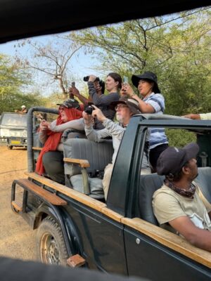A group of people sit on a safari truck taking pictures with their phones and cameras.