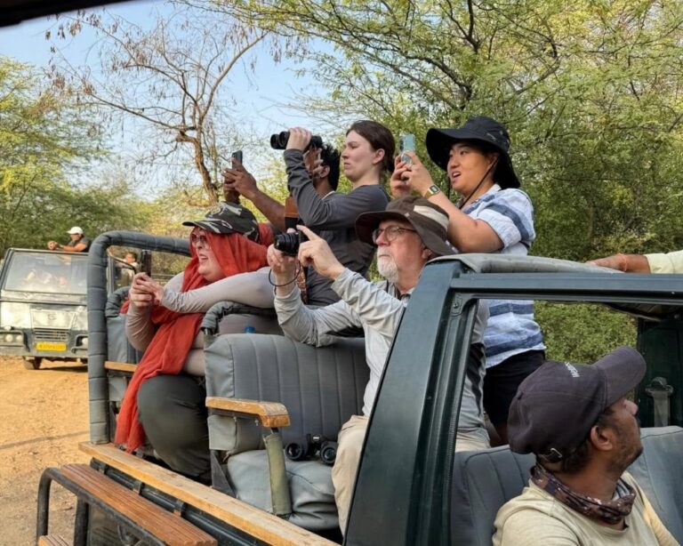 A group of people sit on a safari truck and take pictures