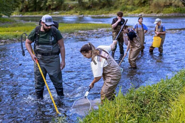 Faculty and students taking samples in a creek.