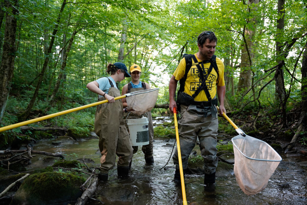 a group of people in a stream