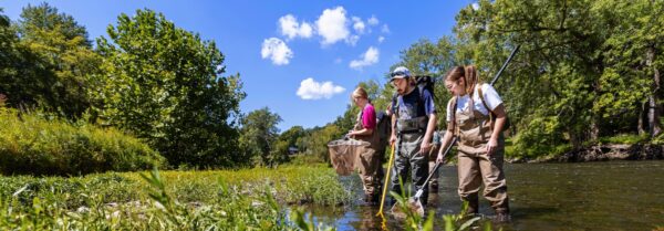 Three people push nets through water in French Creek, Crawford County, PA