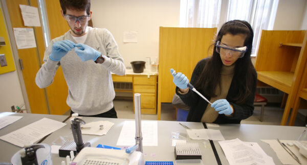 students in chemistry lab