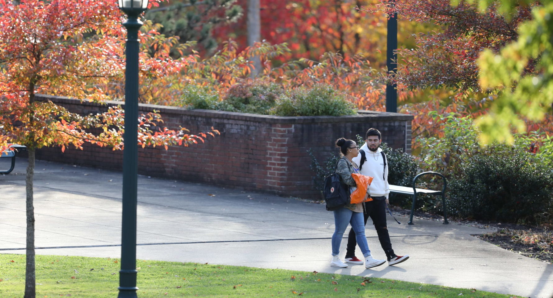 a group of students walking on a sidewalk against autumn leaves