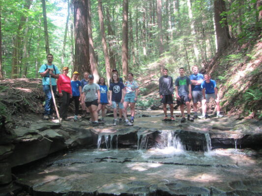 a group of people standing in a forest