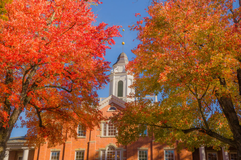 a building with a tower partially hidden by trees