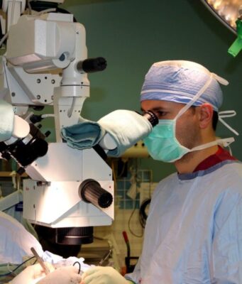 a person looking through a microscope