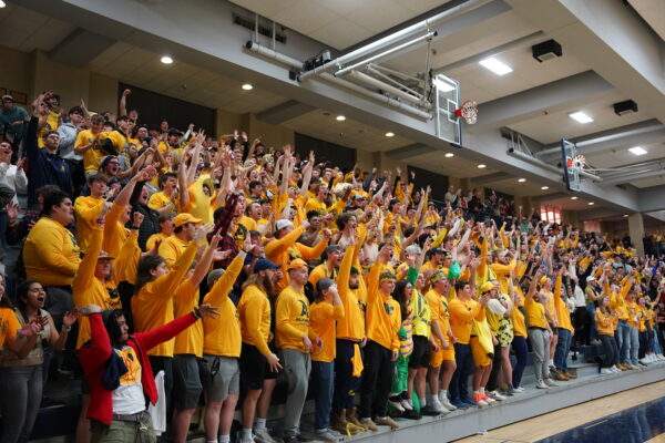 fans cheering from the stands
