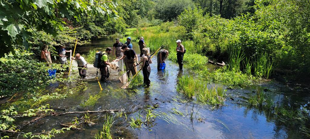 Students standing in a creek conducting class.