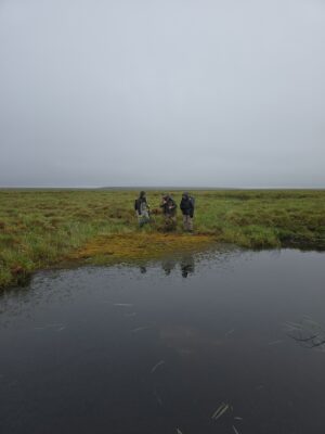 Three researchers in a field located in Alaska