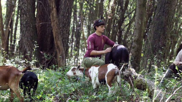 Student in the woods