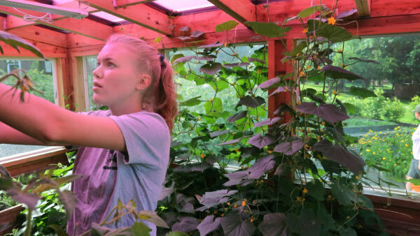 Student tending to plants