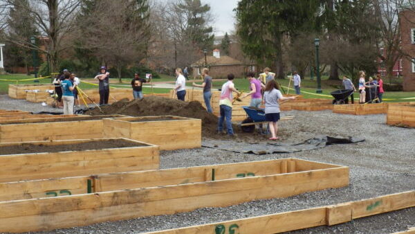 Students working outside