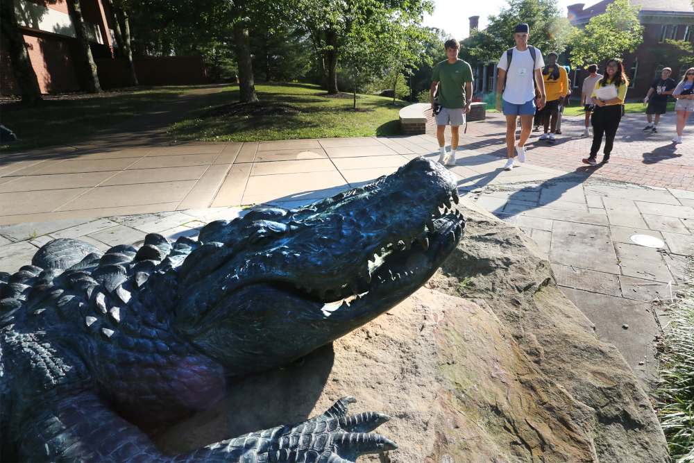 Summer Gator Statue