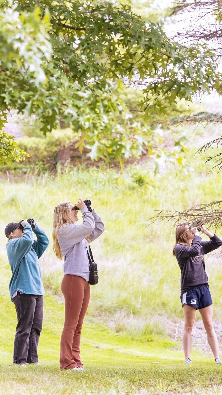 A group of three people stand under a tree and look through their binoculars