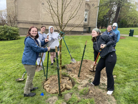 a group of students planting trees