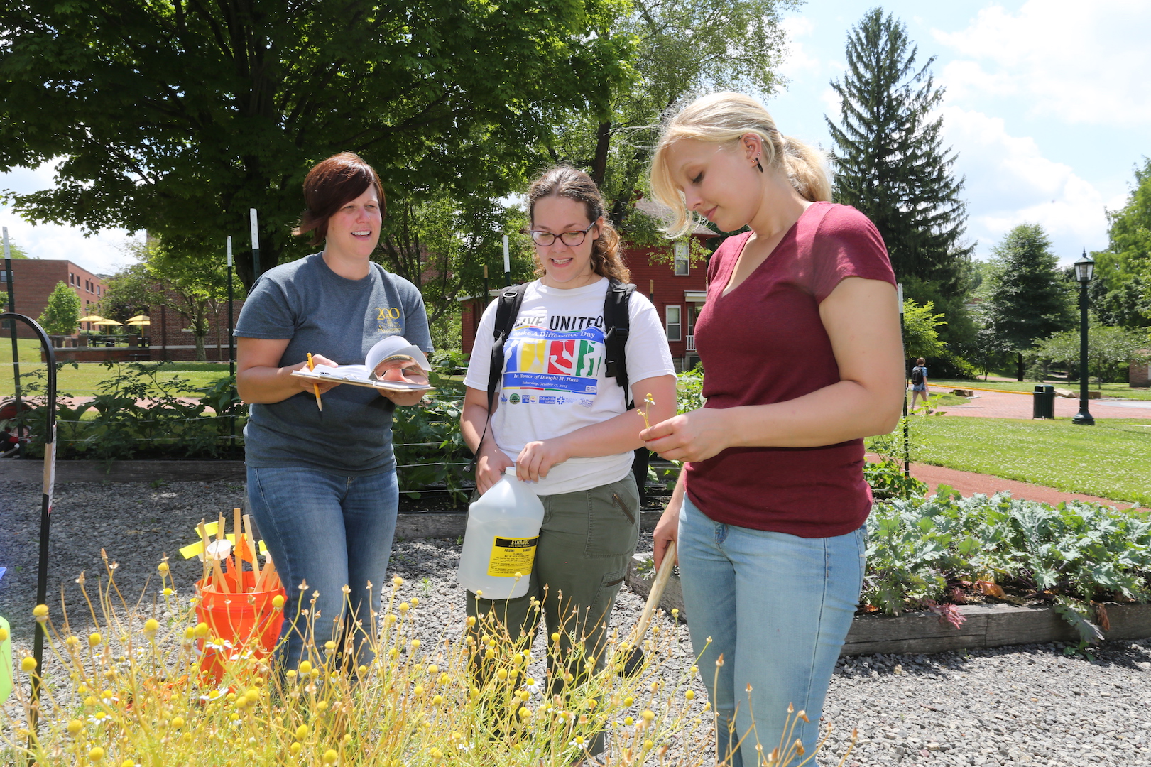 On-campus research could involve topics such as "beesearch," a summer project in 2016 headed by Professor Beth Choate. (Photo by Derek Li)