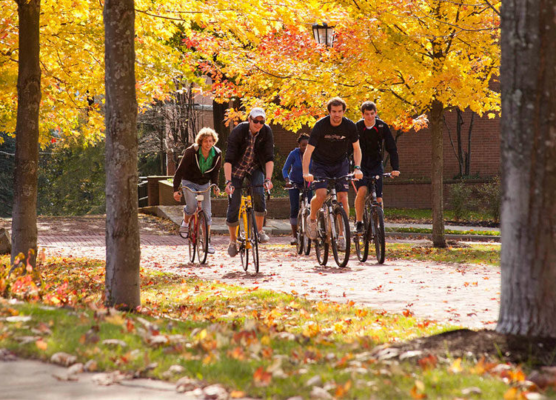 a group of people riding bicycles in a fall setting