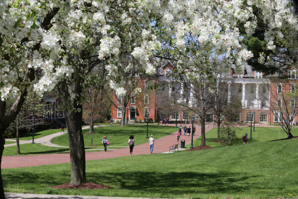 a group of people walking on a campus path