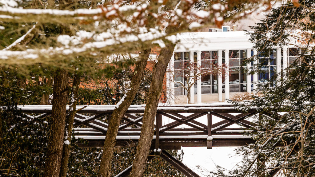 a bridge over a snowy river