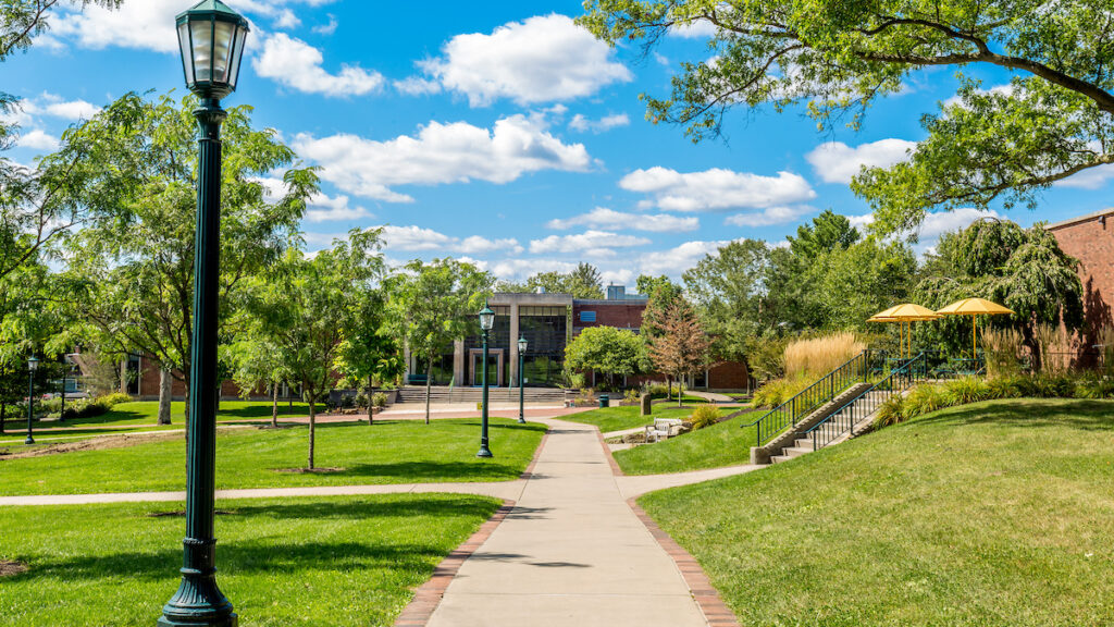 a walking path in a green field on a sunny day