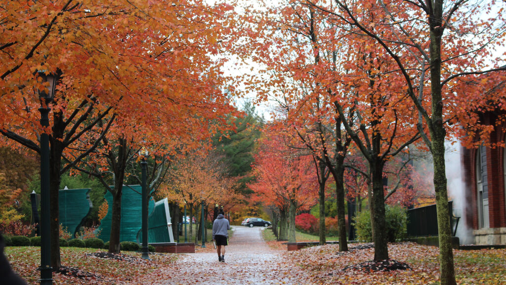 a student walking on a path with orange autumn leaves