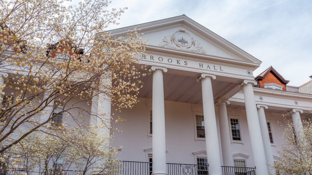 a white building with tall columns and a flowering tree to the left