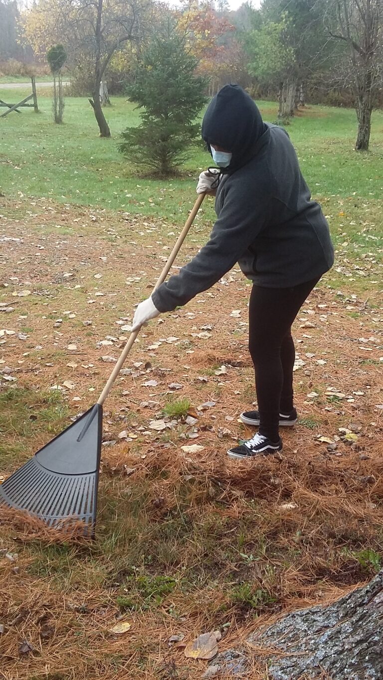 a student wearing a mask and gloves raking leaves