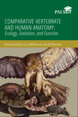 Comparative Vertebrate and Human Anatomy: Ecology, Evolution, and Function book cover