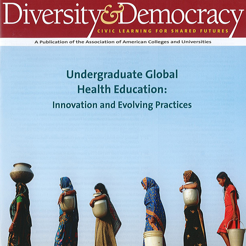 diversitydemocracy2
