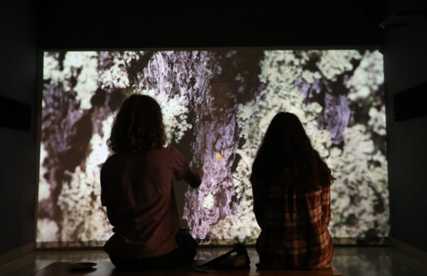 two students silhouetted by a bright screen showing a video