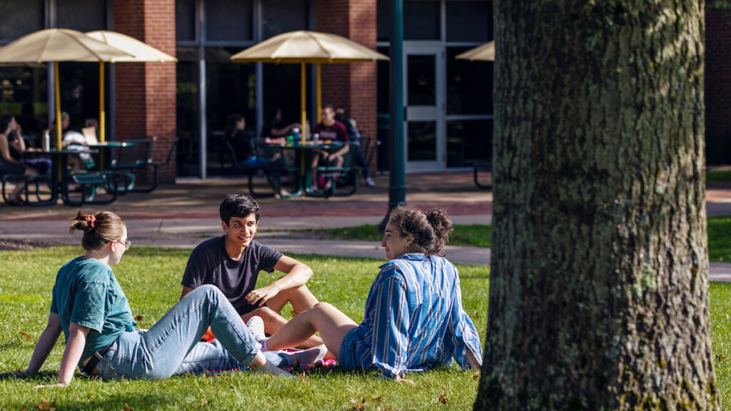 a group of students sitting outside on grass