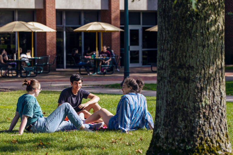 a group of students sitting outside on grass