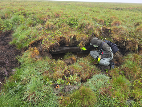 Three researchers in a field located in Alaska