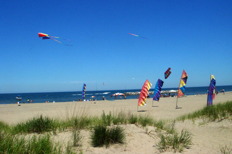 a group of kites flying in the sky on the beach