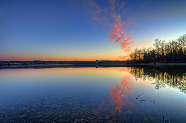 a body of water with trees and a sunset