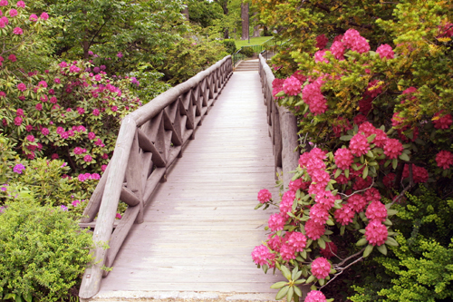 Rustic Bridge, constructed in 1910